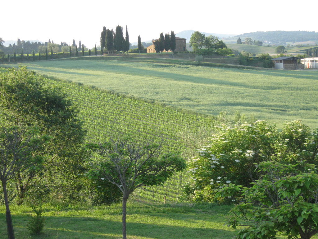 Agriturismo Santa Maria Torrita di Siena Luaran gambar