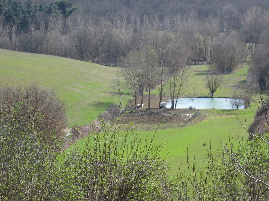 Agriturismo Santa Maria Torrita di Siena Luaran gambar