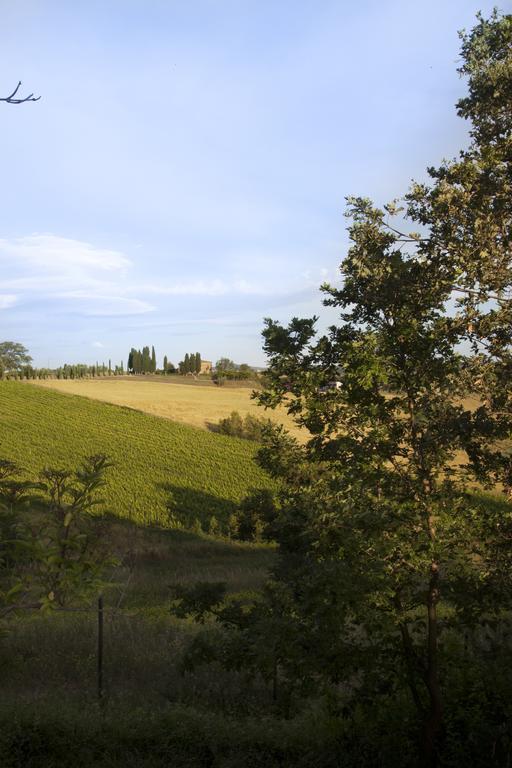 Agriturismo Santa Maria Torrita di Siena Luaran gambar
