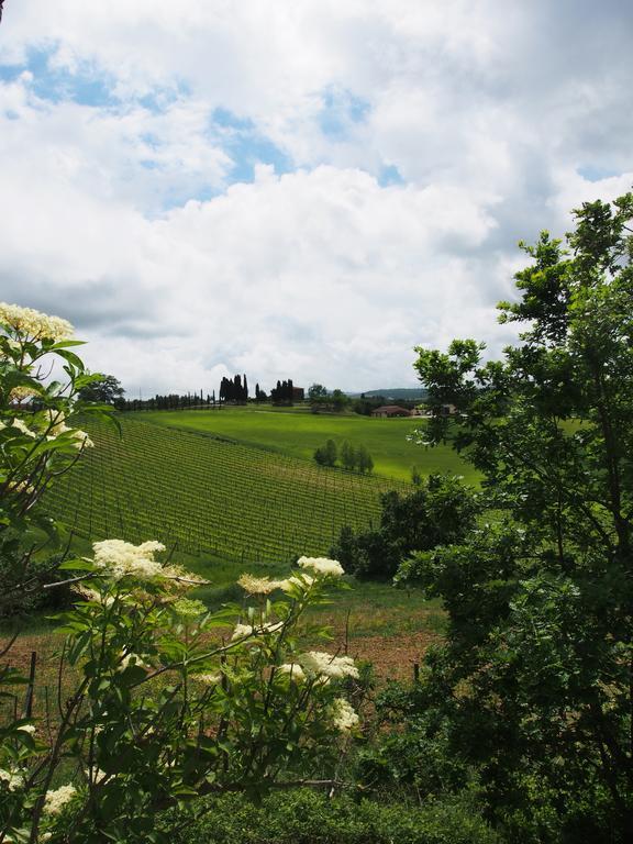 Agriturismo Santa Maria Torrita di Siena Luaran gambar