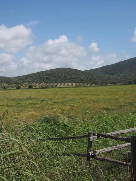Agriturismo Santa Maria Torrita di Siena Luaran gambar